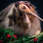 _DSC3183-Enhanced-NR _DSC3183-Enhanced-NR