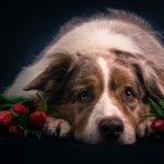 _DSC3310_-2 _DSC3310_-2