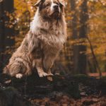 _DSC8132-Enhanced-NR _DSC8132-Enhanced-NR