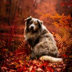 _DSC8248-Enhanced-NR-2 _DSC8248-Enhanced-NR-2