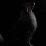 MArleyLichtseite MArleyLichtseite