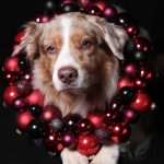 MarleyKugeln MarleyKugeln