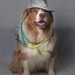 MarleySilvester MarleySilvester