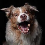 MarleySnap1 MarleySnap1