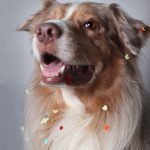 marleyKarneval marleyKarneval