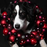 AbbyKugeln AbbyKugeln