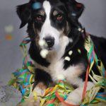 AbbySylvester AbbySylvester