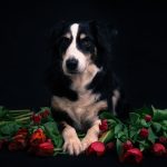 _DSC3733-Enhanced-NR _DSC3733-Enhanced-NR