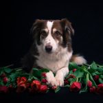 _DSC3763-Enhanced-NR _DSC3763-Enhanced-NR