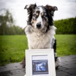 _DSC7316-Enhanced-NR