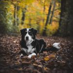 _DSC7426-Enhanced-NR _DSC7426-Enhanced-NR