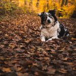 _DSC7559-Enhanced-NR