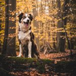 _DSC7989-Enhanced-NR _DSC7989-Enhanced-NR