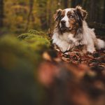 _DSC8934-Enhanced-NR _DSC8934-Enhanced-NR