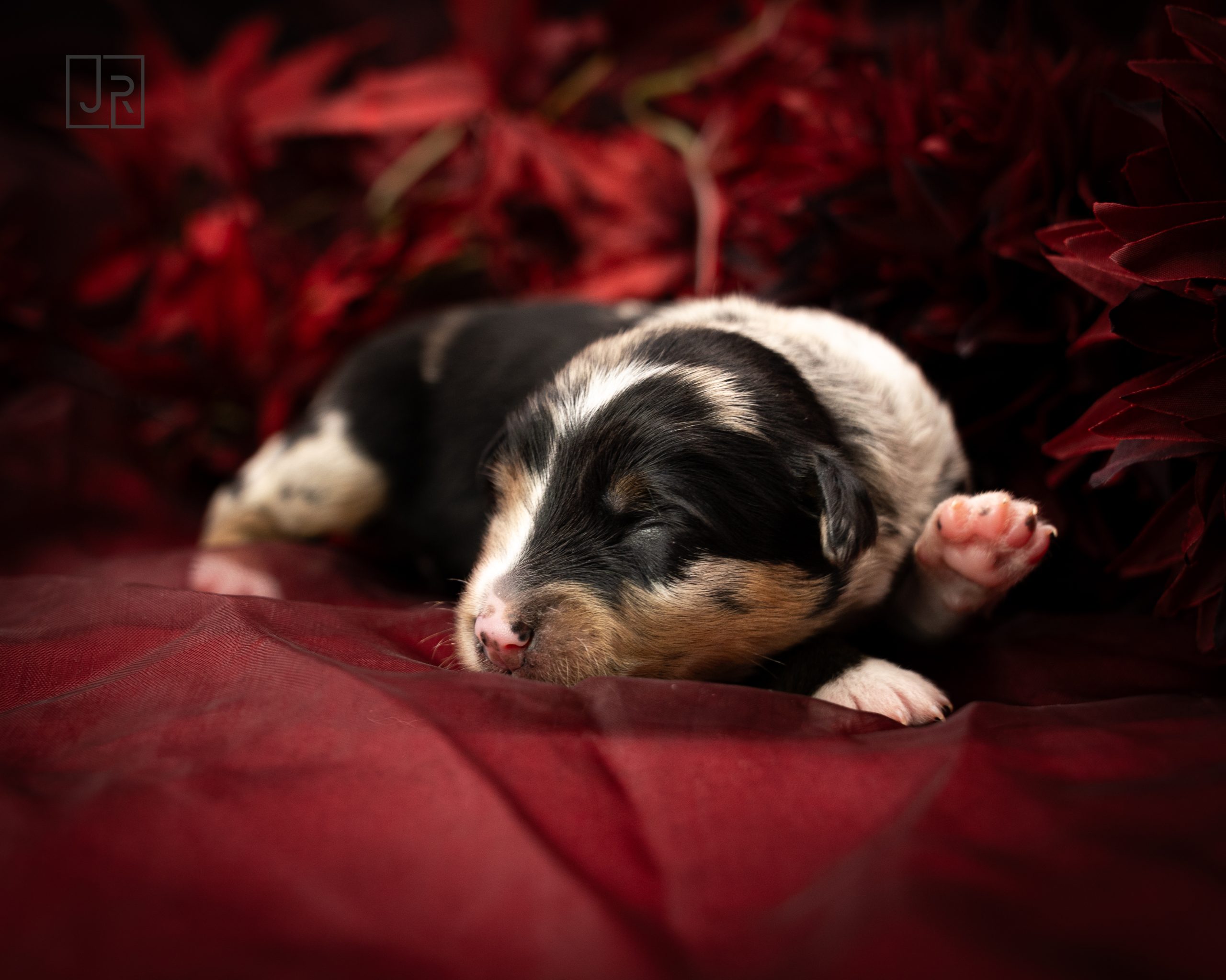 Grün_Logo (3) Grün_Logo (3)