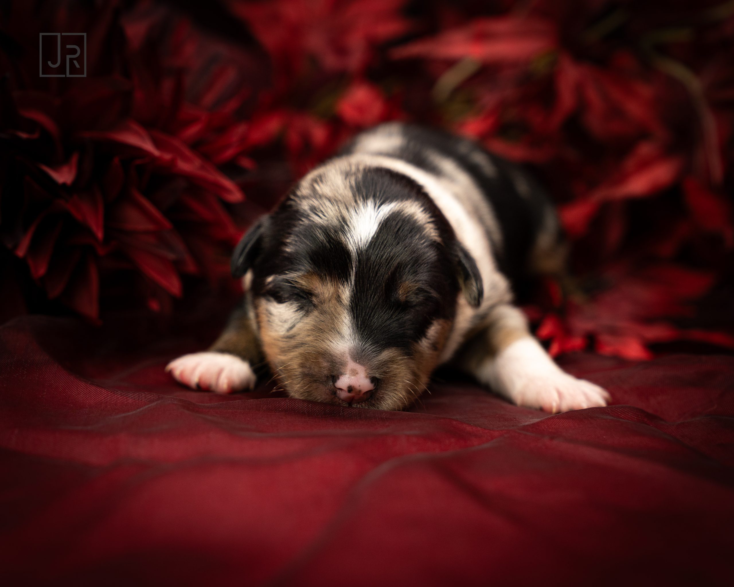 Grün_Logo (4) Grün_Logo (4)