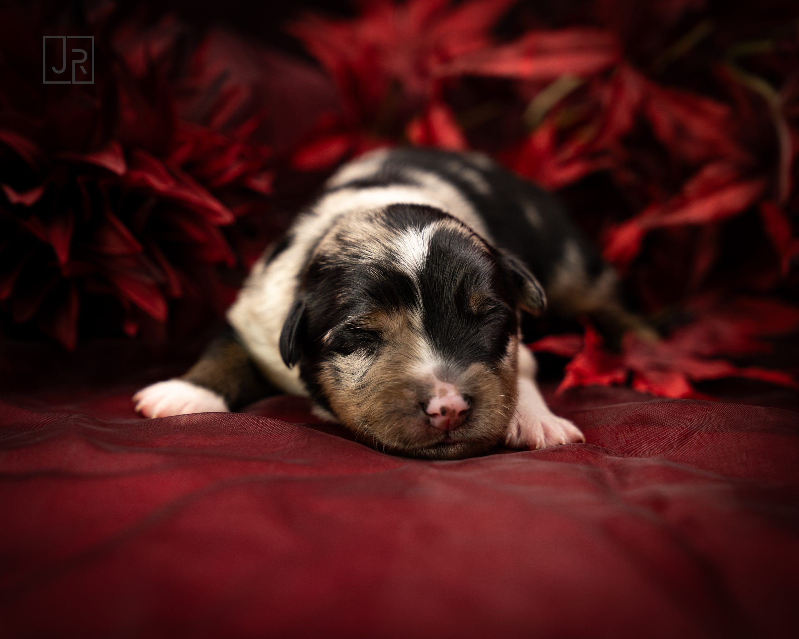 Grün_Logo (5) Grün_Logo (5)