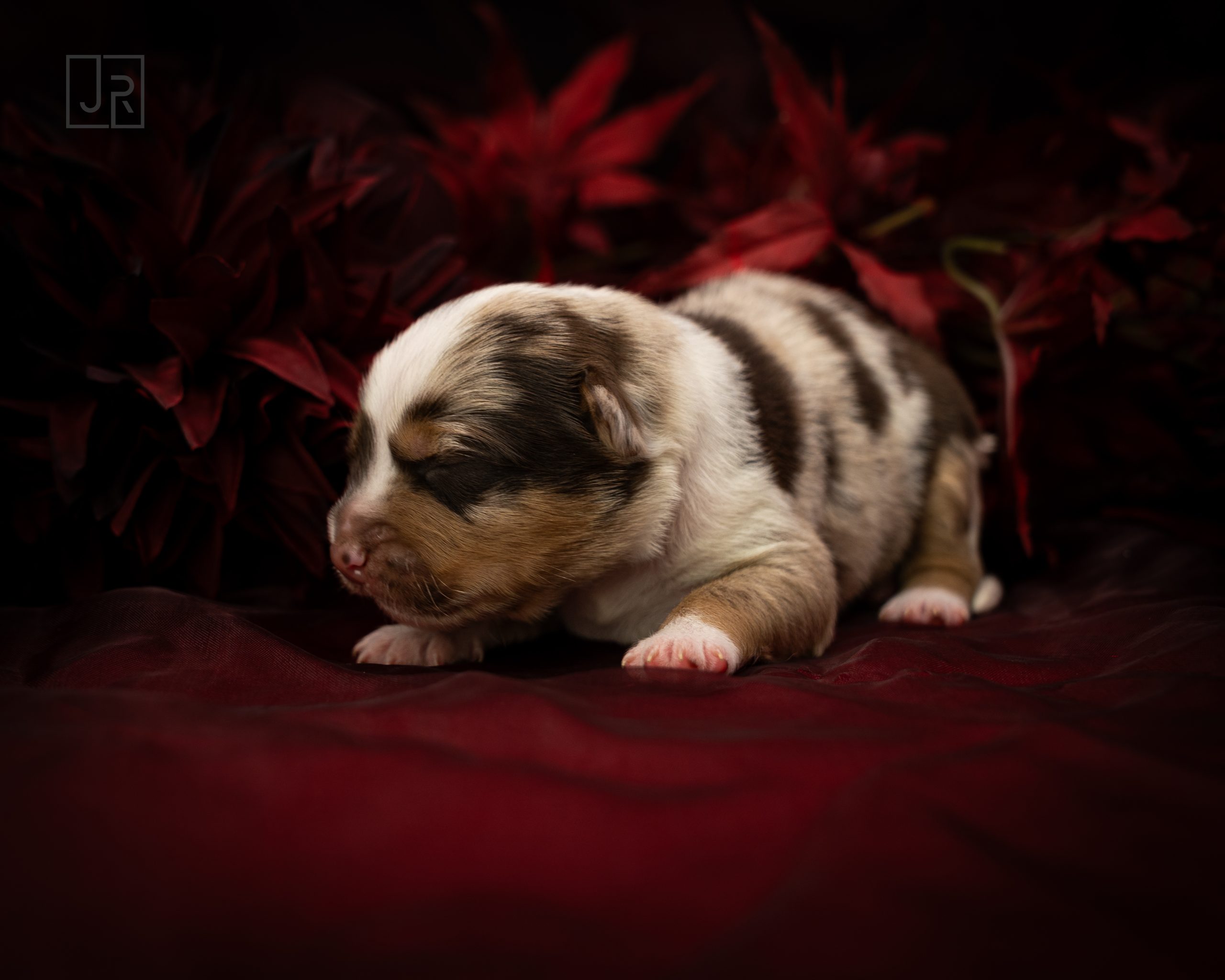 Hellblau_Logo (2) Hellblau_Logo (2)