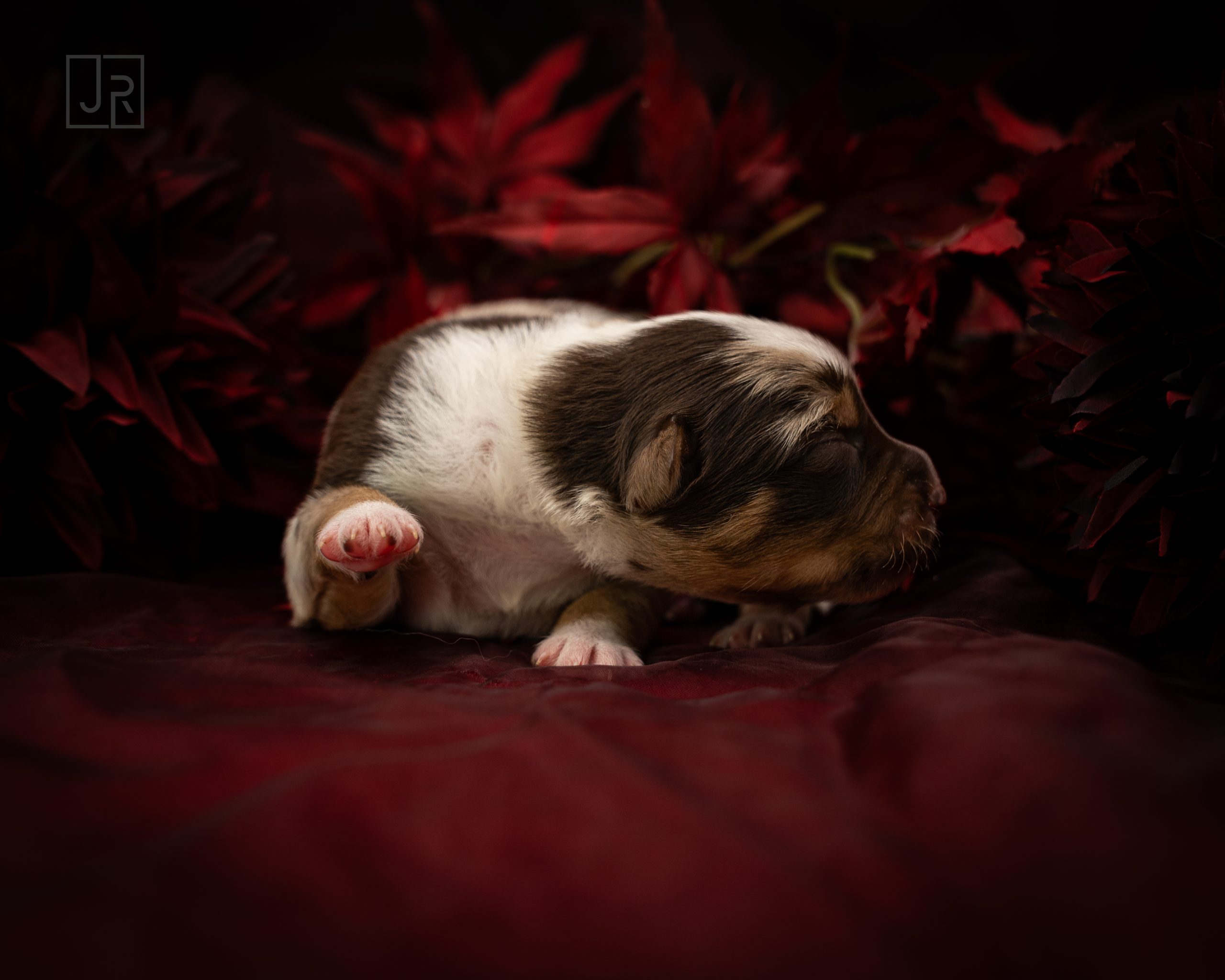 Hellblau_Logo (6) Hellblau_Logo (6)