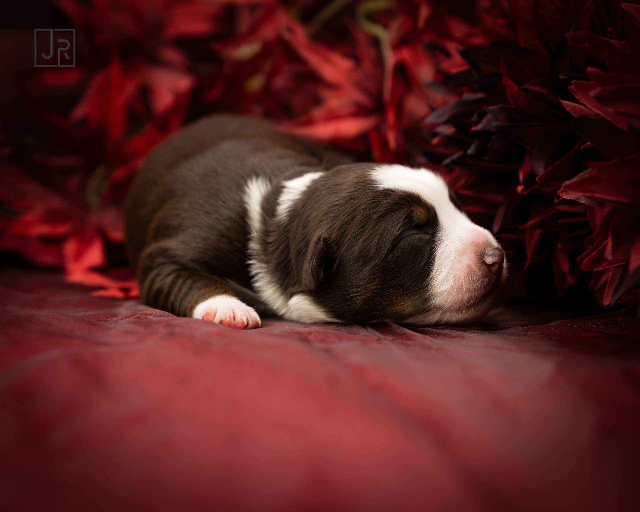 Lila_Logo (3) Lila_Logo (3)