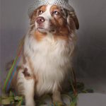 Shailohsolvester Shailohsolvester