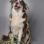 SunnyKarneval SunnyKarneval