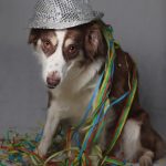 Sunnysilvester Sunnysilvester