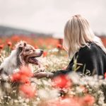 WhatsApp Bild 2025-10-31 um 17.28.19_11452374 WhatsApp Bild 2025-10-31 um 17.28.19_11452374