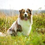 WhatsApp Bild 2025-11-01 um 15.04.47_3c9f9e9e WhatsApp Bild 2025-11-01 um 15.04.47_3c9f9e9e