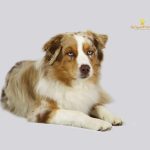 WhatsApp Bild 2025-11-01 um 15.08.54_16f741ef WhatsApp Bild 2025-11-01 um 15.08.54_16f741ef