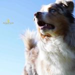 WhatsApp Bild 2025-11-01 um 15.08.54_63faea09 WhatsApp Bild 2025-11-01 um 15.08.54_63faea09