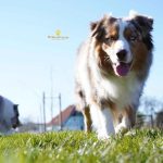 WhatsApp Bild 2025-11-01 um 15.08.54_9b59a766 WhatsApp Bild 2025-11-01 um 15.08.54_9b59a766