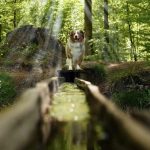 WhatsApp Bild 2025-11-01 um 15.08.54_a67ff6af WhatsApp Bild 2025-11-01 um 15.08.54_a67ff6af