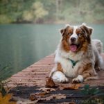 WhatsApp Bild 2025-11-01 um 15.08.54_b545eb76 WhatsApp Bild 2025-11-01 um 15.08.54_b545eb76