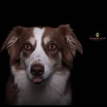 WhatsApp Bild 2025-11-01 um 17.52.52_a85e73c8 WhatsApp Bild 2025-11-01 um 17.52.52_a85e73c8