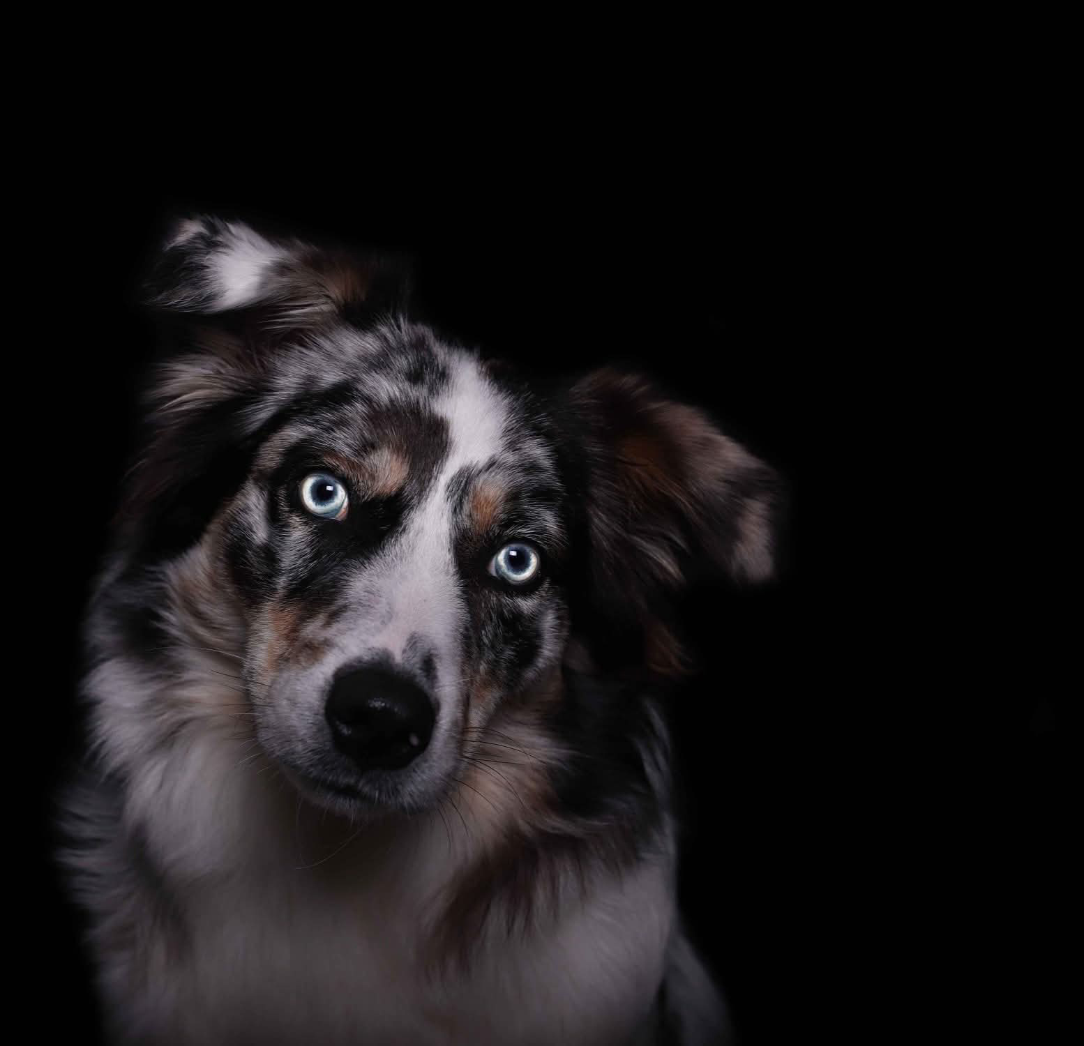 WhatsApp Bild 2025-11-01 um 17.52.52_b9ceb7cf