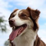 WhatsApp Bild 2025-11-01 um 18.00.01_b99c66bf WhatsApp Bild 2025-11-01 um 18.00.01_b99c66bf