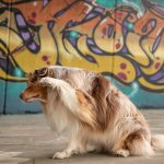 WhatsApp Bild 2025-11-01 um 18.00.01_e78bc14f WhatsApp Bild 2025-11-01 um 18.00.01_e78bc14f