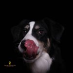 WhatsApp Bild 2025-11-01 um 18.00.02_1bb9268a WhatsApp Bild 2025-11-01 um 18.00.02_1bb9268a