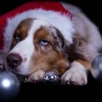 WhatsApp Bild 2025-11-01 um 18.32.54_7d5f15dd WhatsApp Bild 2025-11-01 um 18.32.54_7d5f15dd