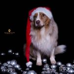 WhatsApp Bild 2025-11-01 um 18.32.54_83cd2fa5 WhatsApp Bild 2025-11-01 um 18.32.54_83cd2fa5