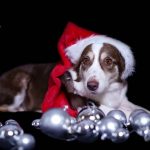 WhatsApp Bild 2025-11-01 um 18.32.54_918610d7 WhatsApp Bild 2025-11-01 um 18.32.54_918610d7