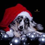 WhatsApp Bild 2025-11-01 um 18.32.54_95a71851