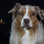 WhatsApp Bild 2025-11-01 um 18.32.54_f563f418 WhatsApp Bild 2025-11-01 um 18.32.54_f563f418