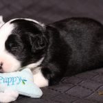 WhatsApp Bild 2025-11-01 um 18.32.55_1f3b8530 WhatsApp Bild 2025-11-01 um 18.32.55_1f3b8530