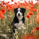 WhatsApp Bild 2025-11-01 um 18.32.55_7abc309e WhatsApp Bild 2025-11-01 um 18.32.55_7abc309e