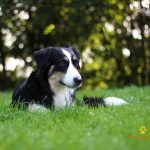 WhatsApp Bild 2025-11-01 um 18.32.55_9efc7c8f WhatsApp Bild 2025-11-01 um 18.32.55_9efc7c8f