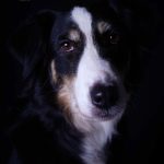 WhatsApp Bild 2025-11-01 um 18.32.55_b84d19b8 WhatsApp Bild 2025-11-01 um 18.32.55_b84d19b8