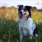 WhatsApp Bild 2025-11-01 um 18.32.55_d1df07f7