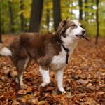 WhatsApp Bild 2025-11-01 um 18.32.56_1fad640e WhatsApp Bild 2025-11-01 um 18.32.56_1fad640e